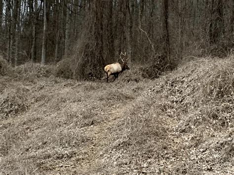 Why rumormill news often breaks stories before mainstream media 8