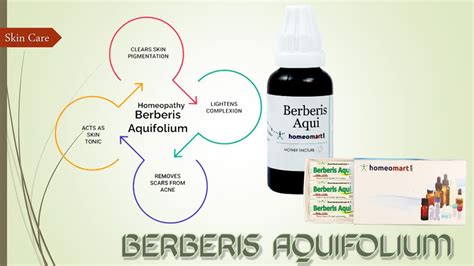 Berberis Aquifolium For Skin Whitening Side Effects on Sale ...