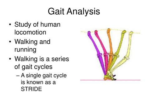 Ppt Gait Analysis Powerpoint Presentation Free Download Id753931