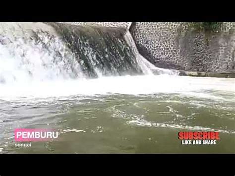 Hiburan Mancing Ikan Mahseer Di Sungai Cikundul Petsido Youtube