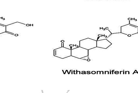 Molecular Structures Of Donepezil Galantamine Rivastigmine And