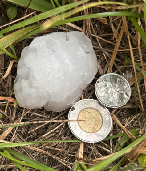 Viewers react to marsden mclaughlin and his latest forecast updates 42