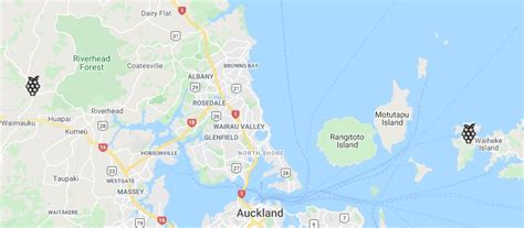 auckland wine region zealand winetourism winetourismcom