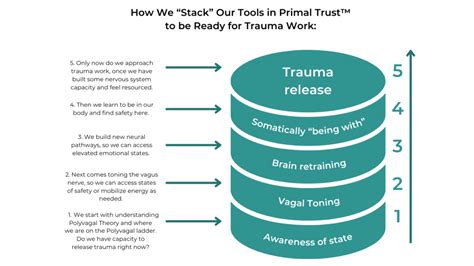 How To Rewire Your Brain After Trauma | Primal Trust