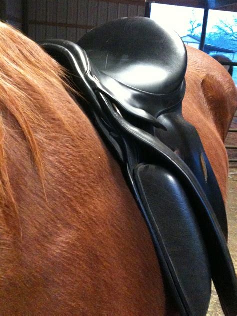 Wyvern Oaks: Dressage saddle fitting