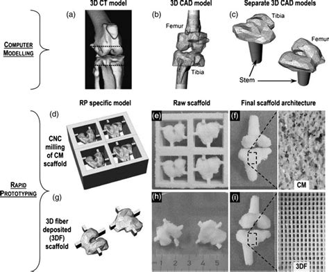 Computer Modelling And Rapid Prototyping Rp Of Porous Anatomically