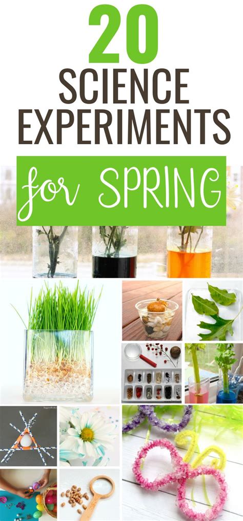 Spring Science Experiments Engaging Activities For Kids