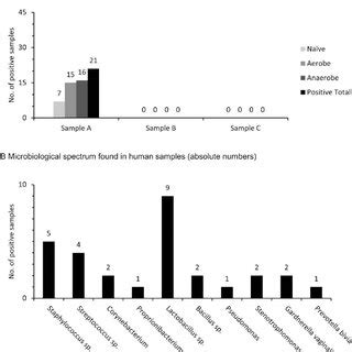 Characterization of microbial contamination in 44 human tissue samples ... 