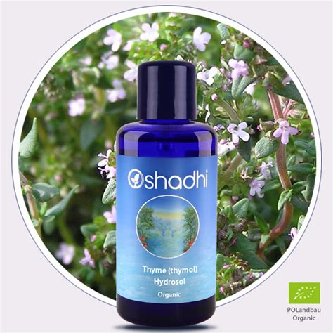 Thyme Thymol Hydrosol Organic Oshadhi Essential Oils