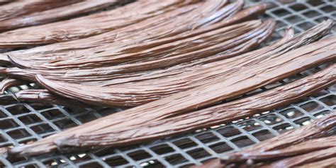 How to Cure Vanilla Beans, Part 2 - The Vanillery of Kaua'i