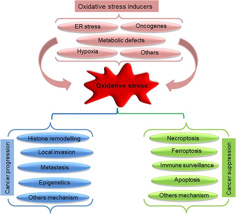 Epigenetic Reprogramming During Prostate Cancer Progression A