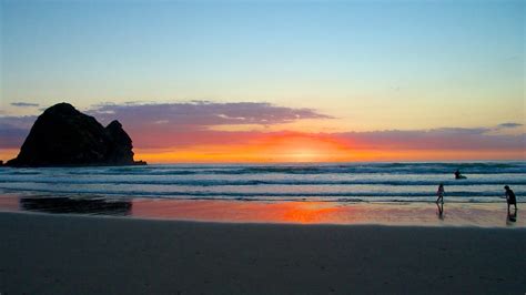 Piha Beach in Auckland, | Expedia