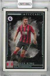 ミントモール MINT 浦和店 2019 20 Panini Impeccable Premier League AFC