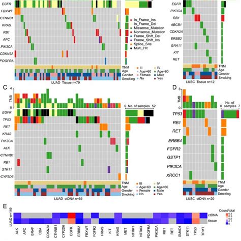 Somatic Mutation Landscape Of Nsclc Derived From Luad Tumor Tissue Dna Download Scientific