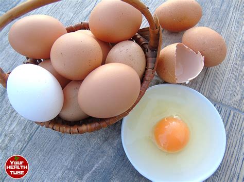 9 Surprising Facts About Eggs Nutrition (Nature’s Perfect Food for ...