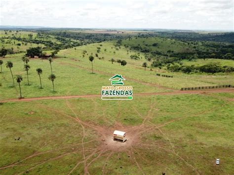 Mato Grosso Fazendas 1670 Hectares à Venda em Campinápolis MT 00246