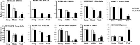 Qrt‐pcr Validation Of Degs Identified By Rna‐seq Ten Degs Including