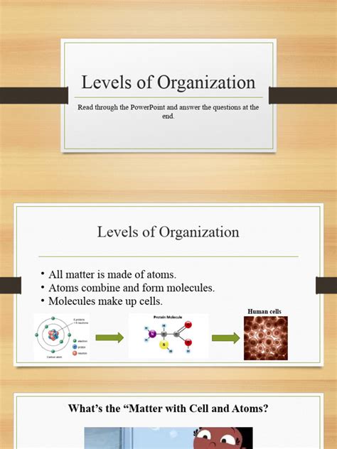 Levels Of Organiztion Pdf