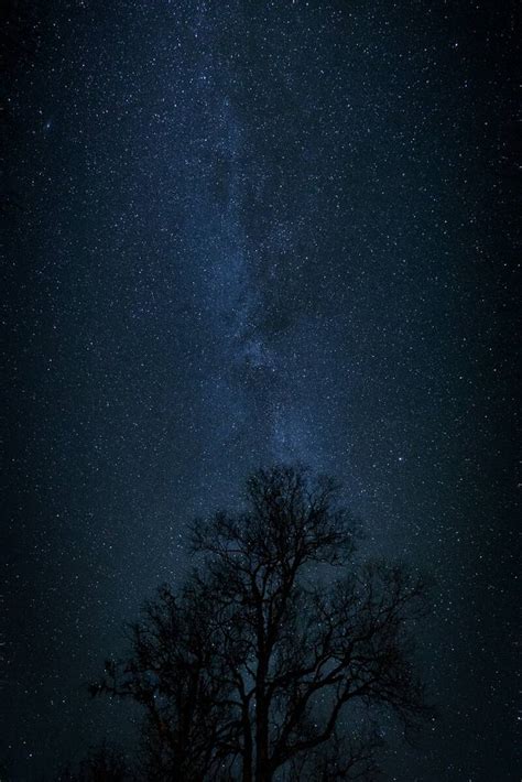 Tree and Milky Way by Ommund Øgård Photography Digital Art Limited