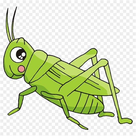 Cricket Bug Clipart Kids