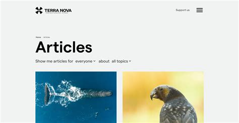 terra nova foundation scratch