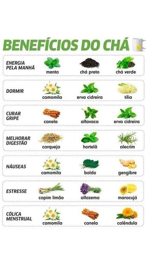 Horta Em Casa Para Cultivar Ervas E Temperos Artofit