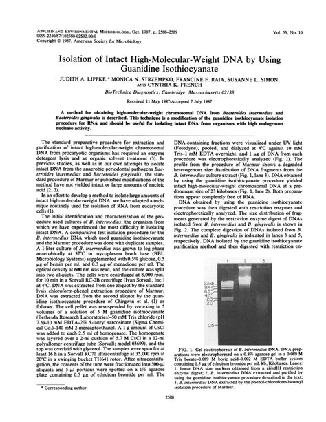 Pdf Isolation Of Intact High Molecular Weight Dna By Using Guanidine