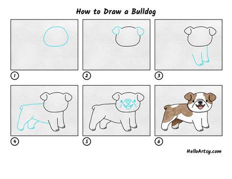 How To Draw A Bulldog Step By Step