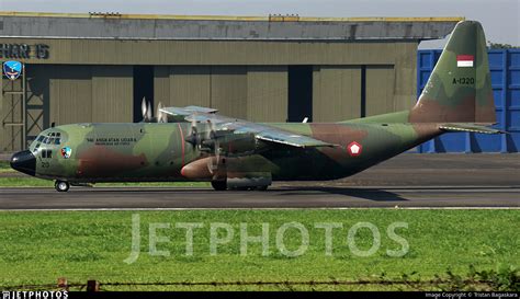 lockheed    hercules indonesia air force tristan