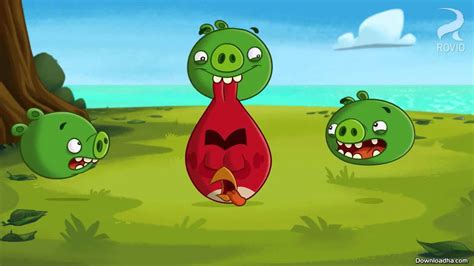 Angry Birds Toons S01e21 720p Youtube