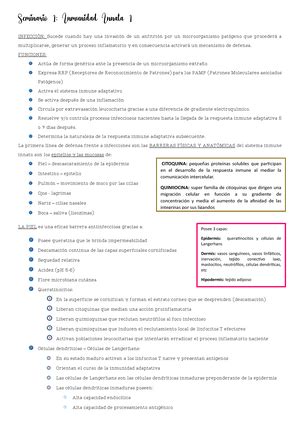 Resumen Morfol Gico Del Desarrollo Embrionario Contenido