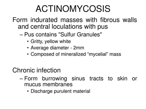 Ppt Actinomyces And Nocardia Powerpoint Presentation Free Download Id5539030