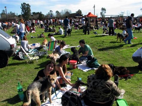 El Campito Refugio Buenos Aires Argentina