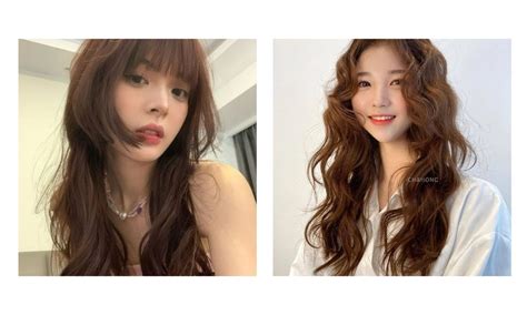 Ki U T C Mullet N P C T Nh H P M I Khu N M T C C Hot Tiki