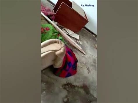 Дом без окон, без дверей, полна горница бомжей - YouTube
