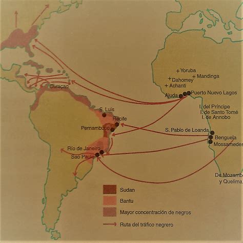 Principais Semelhanças E Diferenças Entre A América E A áfrica