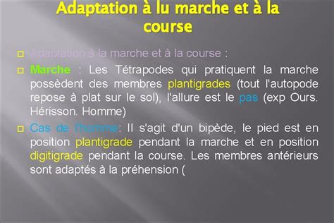 ANATOMIE COMPARE DU SQUELETTE AXIAL La Partie Essentielle