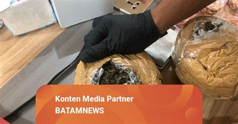 Bea Cukai Batam Amankan Ganja Asal Aceh Dalam Kaleng Biskuit Kumparan