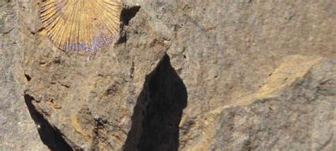 Passo Cason Di Lanza Findenig Geoparco Alpi Carniche