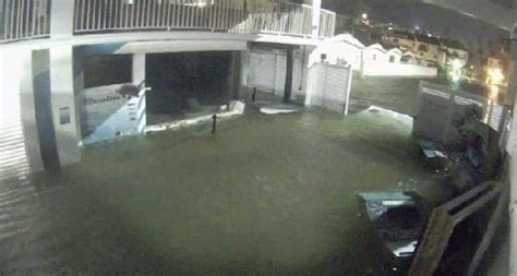 Clearwater Marine Aquarium reports 'catastrophic' damage • St Pete Catalyst