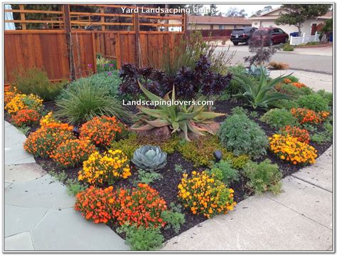 Landscape Design Drought Tolerant Plants – de.mxzim.com