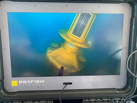 Lost Buoy Worth Recovered With The Boxfish Rov