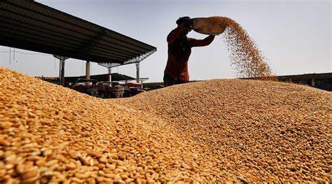 Govt Hikes MSP Of 6 Rabi Crops Rs 110 Per Quintal Jump For Wheat