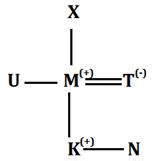 Reasoning Quiz For Bank Foundation Th January