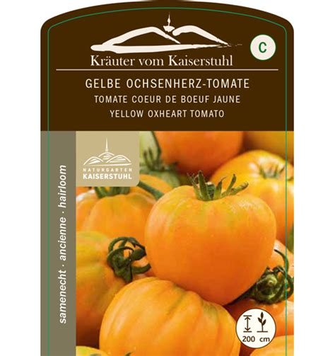 Ochsenherz Tomate Gelb Pflanzen Springmann