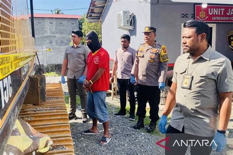 Polisi Tangkap Terduga Pelaku Penambang Emas Ilegal Di Aceh Barat