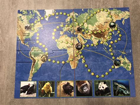 Настольная игра,настільна гра, дикі тварини: 300 грн. - Настольные игры ...