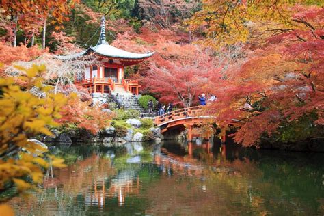 Temple De Daigo JI Avec Les Arbres D érable Colorés En Automne Kyoto