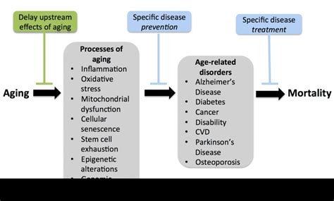 Translational Geroscience: Emphasizing function to achieve optimal ...