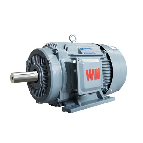 Ie3 High Efficiency Cast Iron Three Phase Induction AC Electric Motor